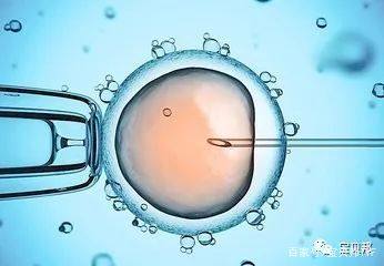 沪上生殖医学中心