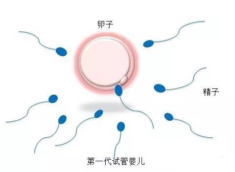 男科主任